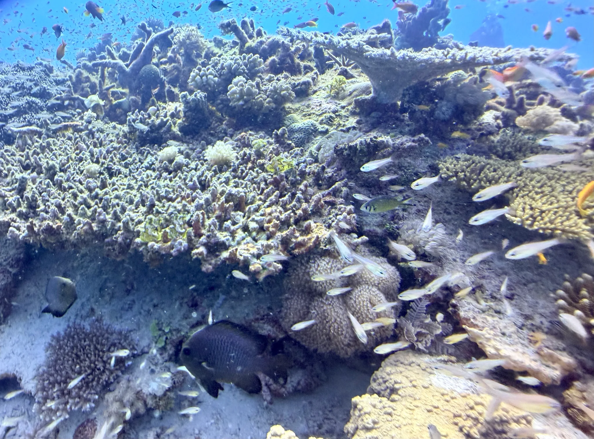 Mini-Lagon